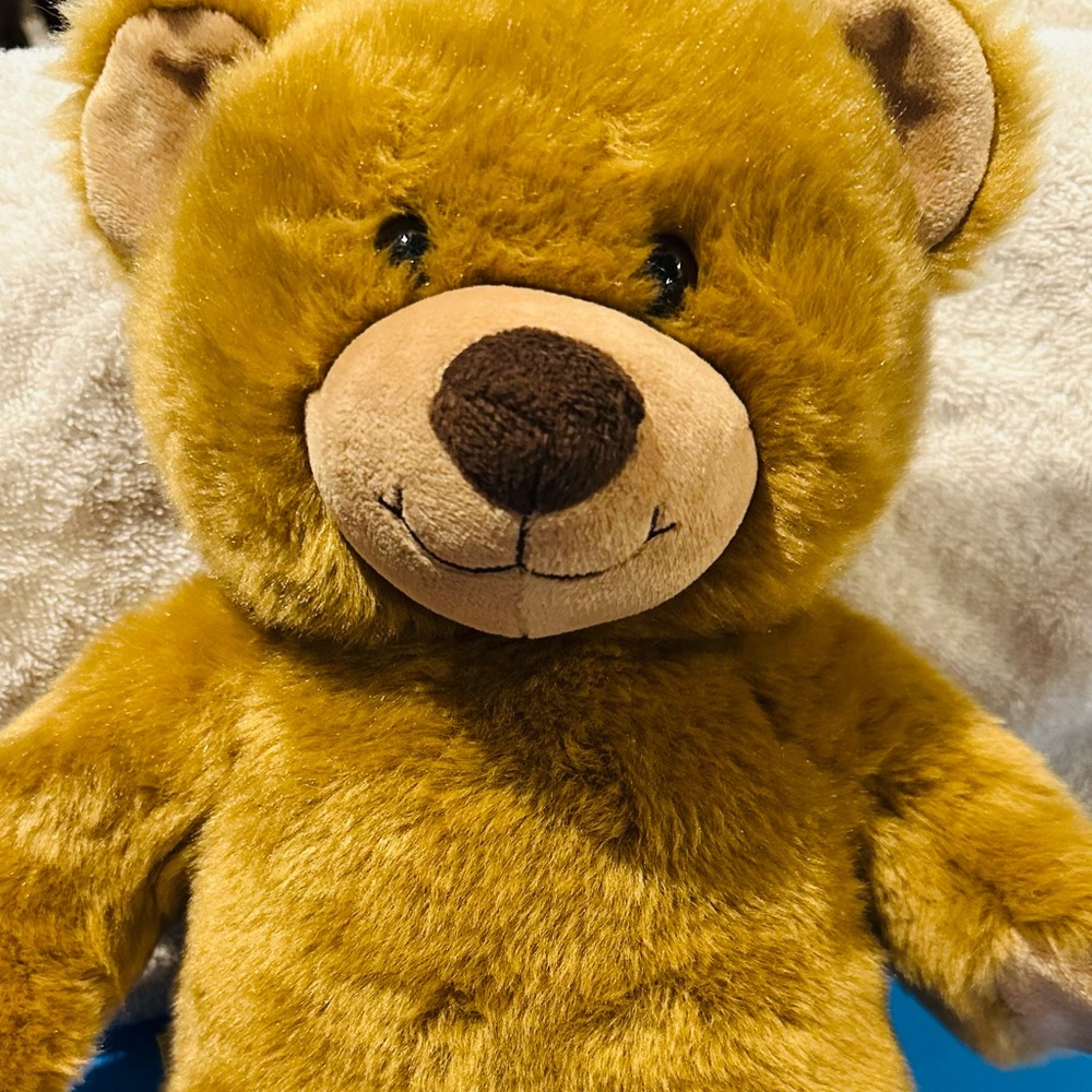Build-A-Bear Brown Stuffed Animal Plush